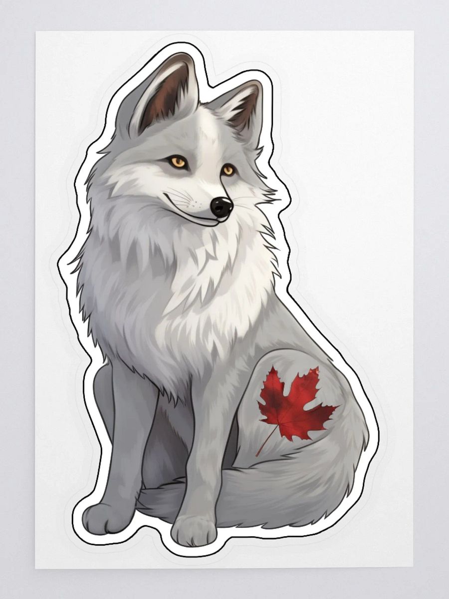 Canadian Marble Fox product image (1)