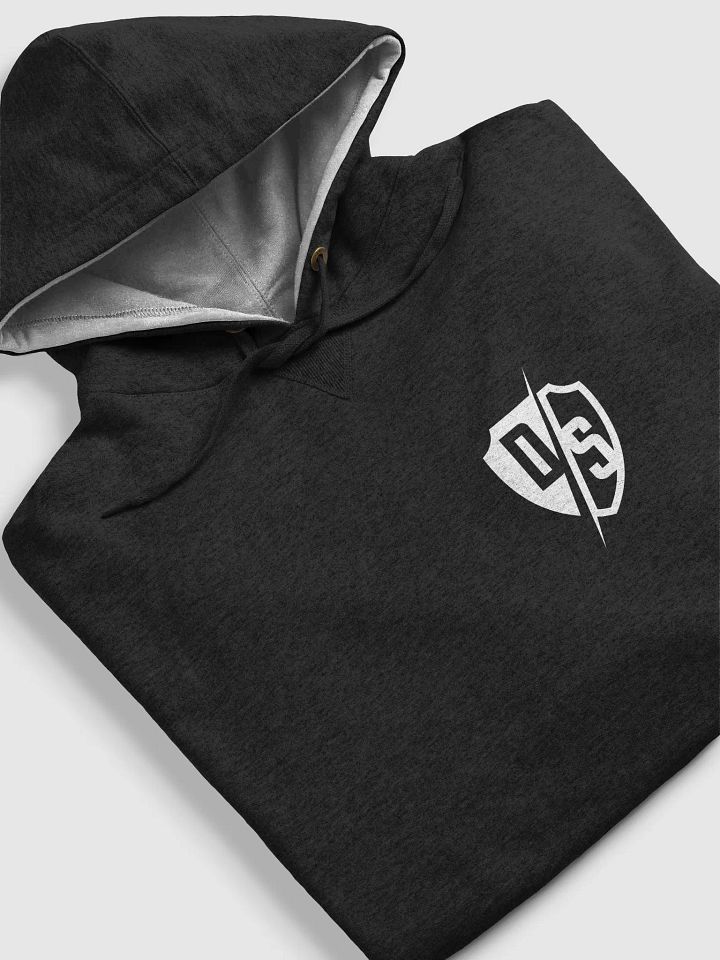 DRSC x Champion Hoodie product image (2)