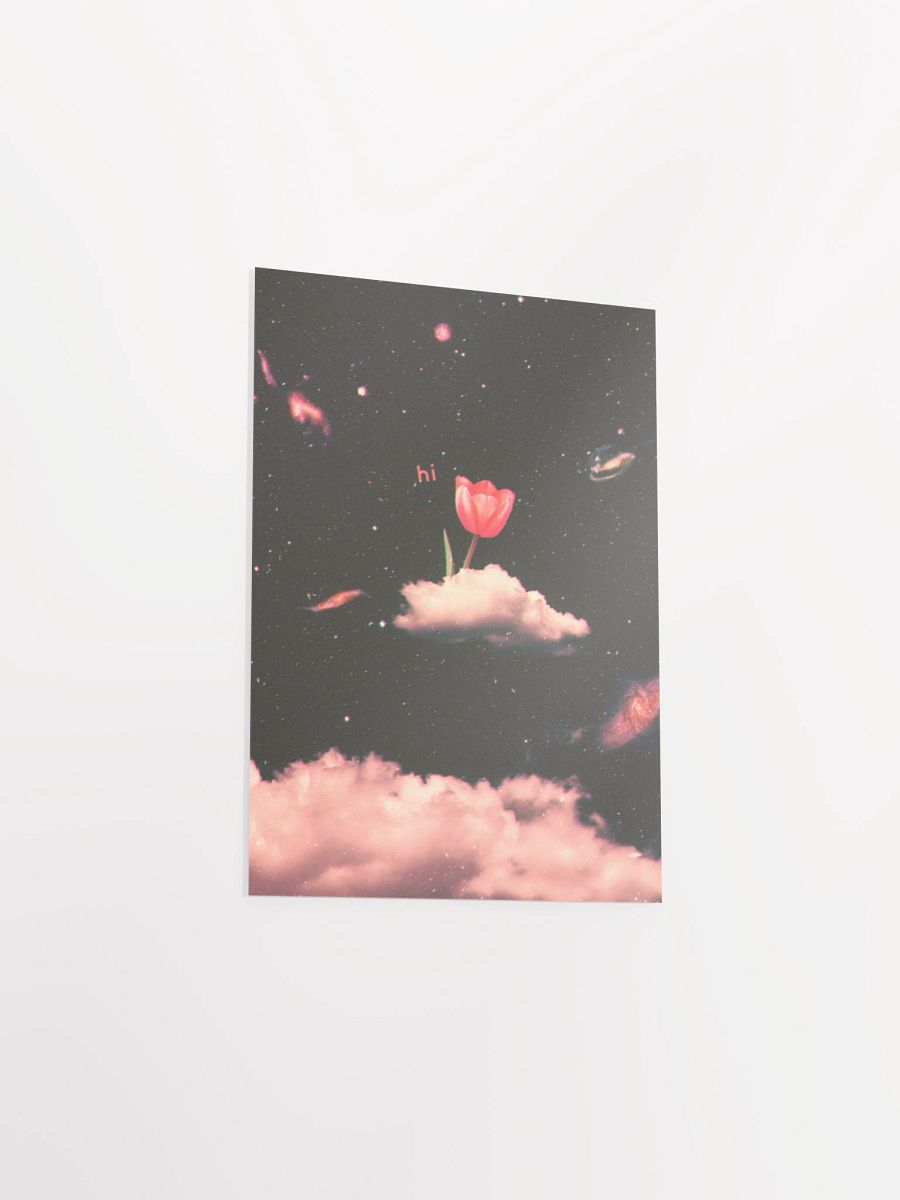 hi product image (11)