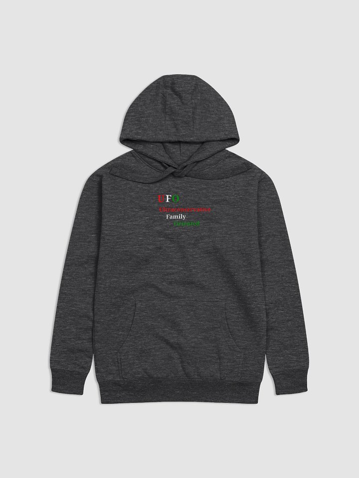 Ultraconservative Family Oriented Premium Hoodie product image (1)