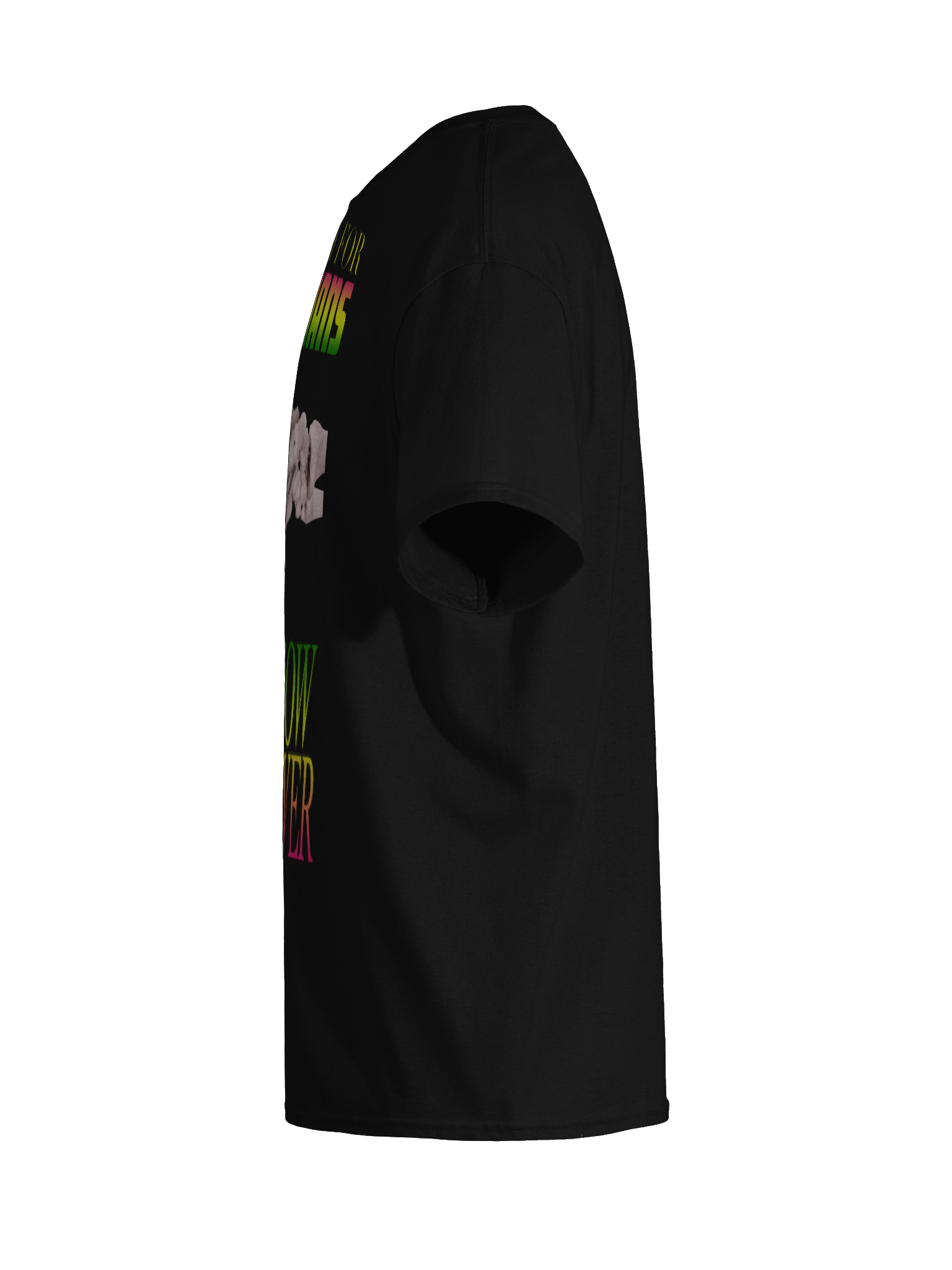 NO MONEY FOR POLITICIANS product image (11)