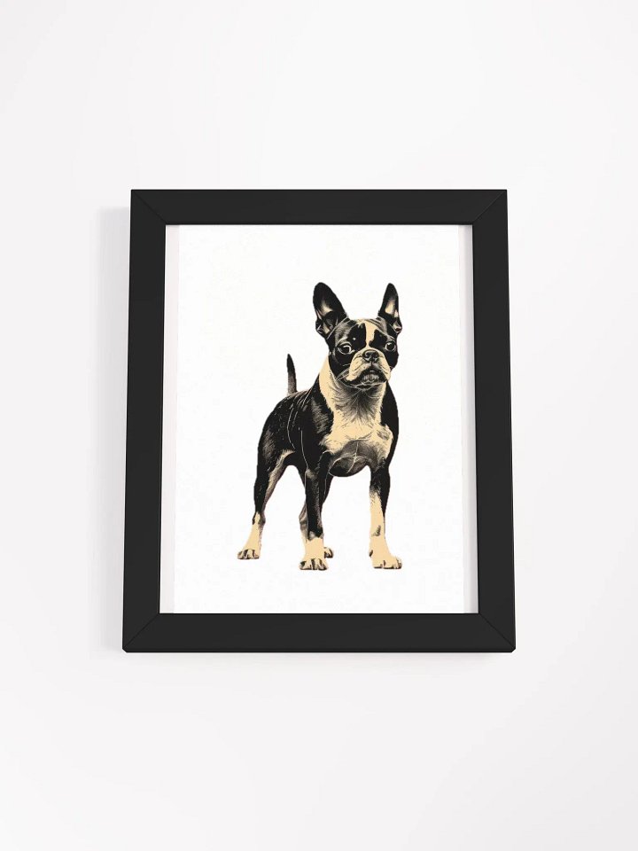 Boston Terrier product image (5)
