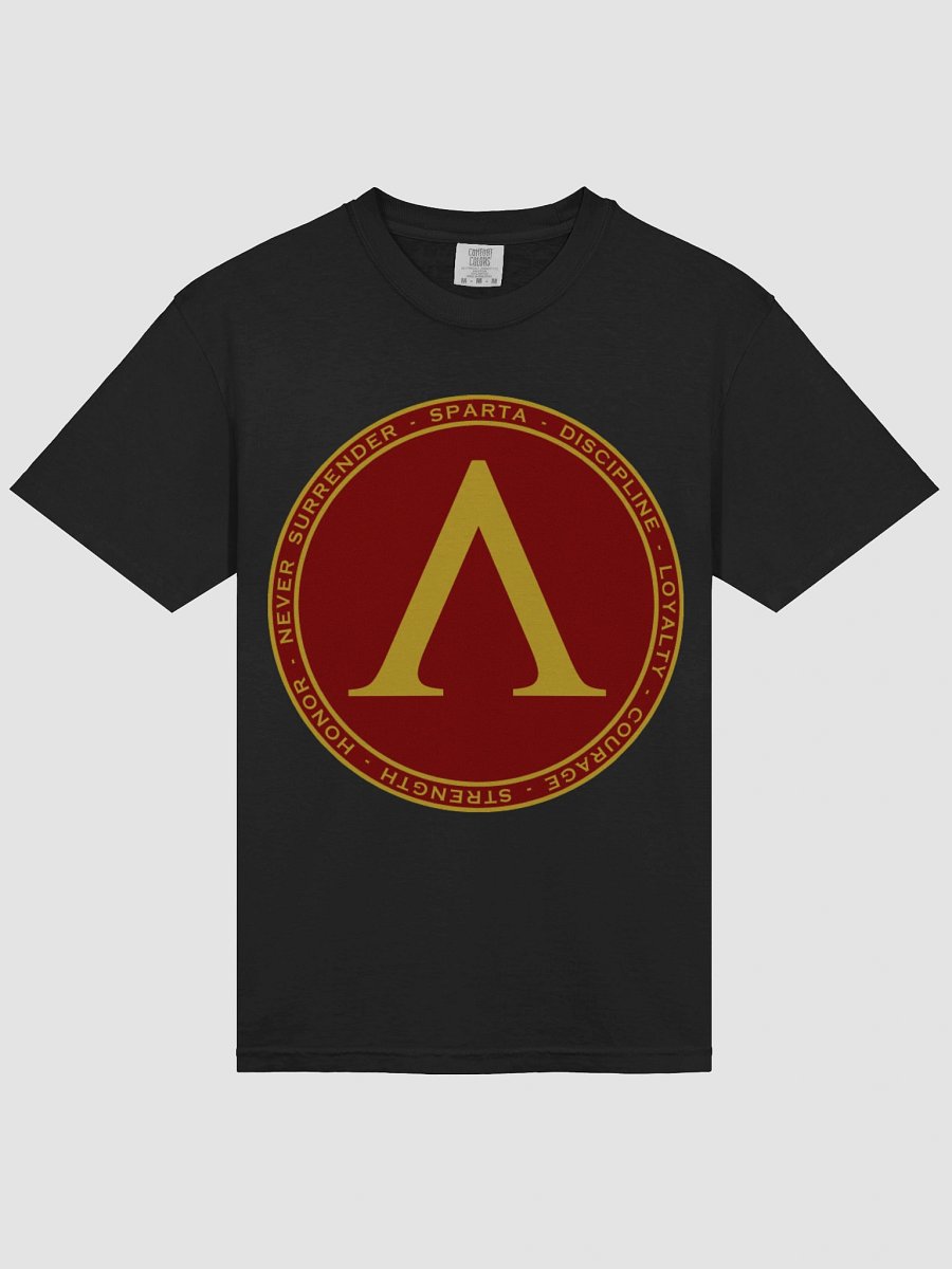 Spartan law Heavy Tee product image (3)