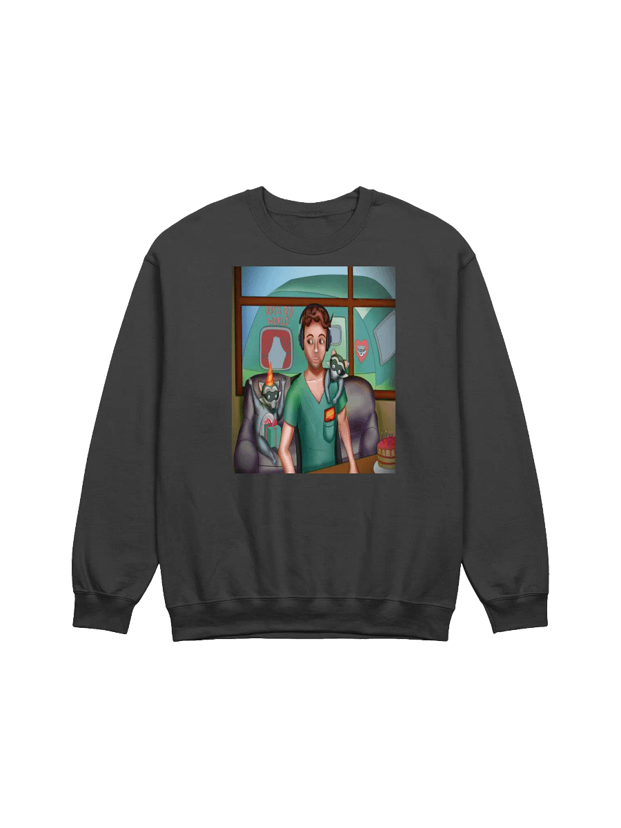 Raccoon Bday Sweater product image (1)
