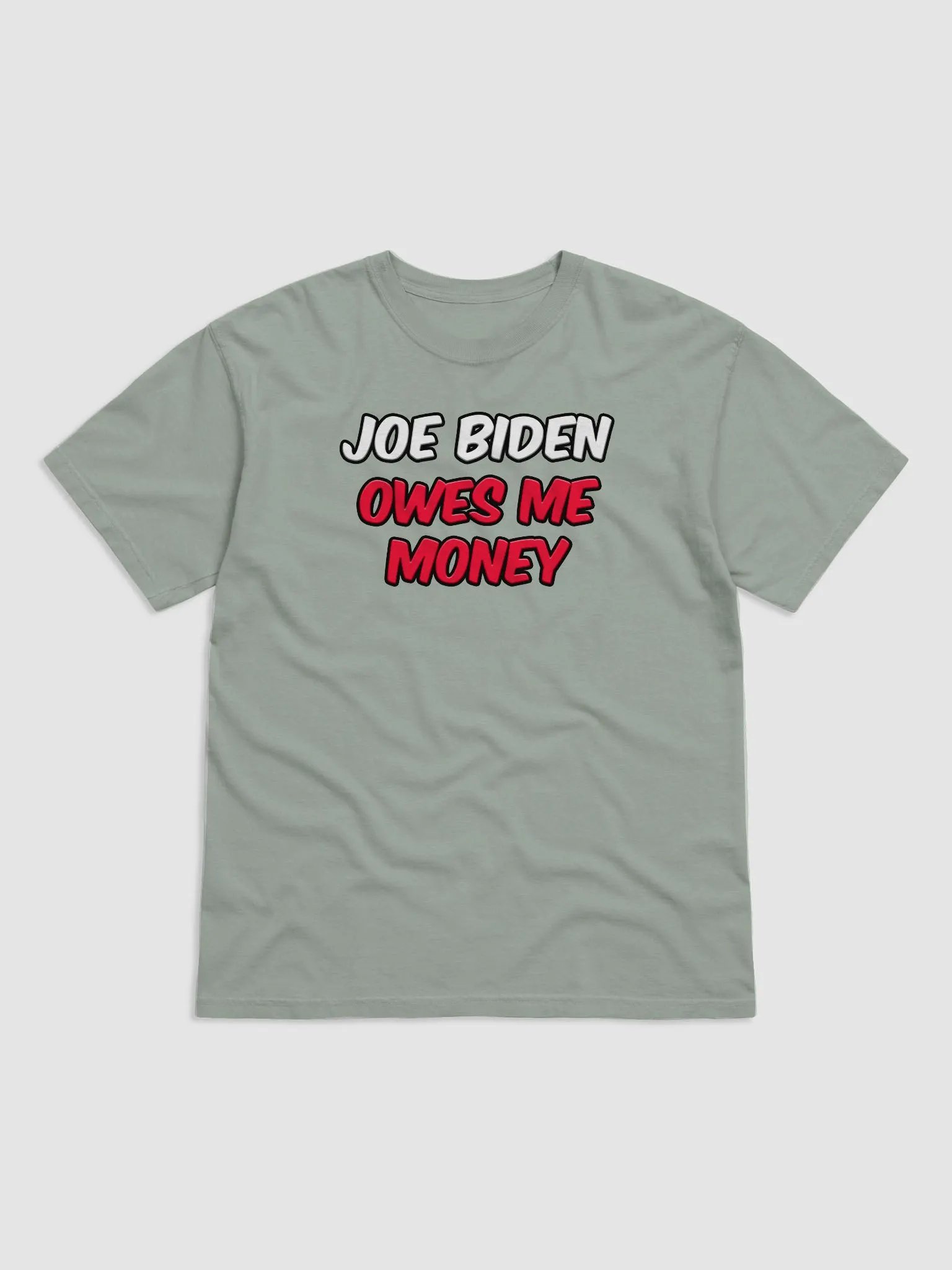 JOE BIDEN OWES ME MONEY product image (7)