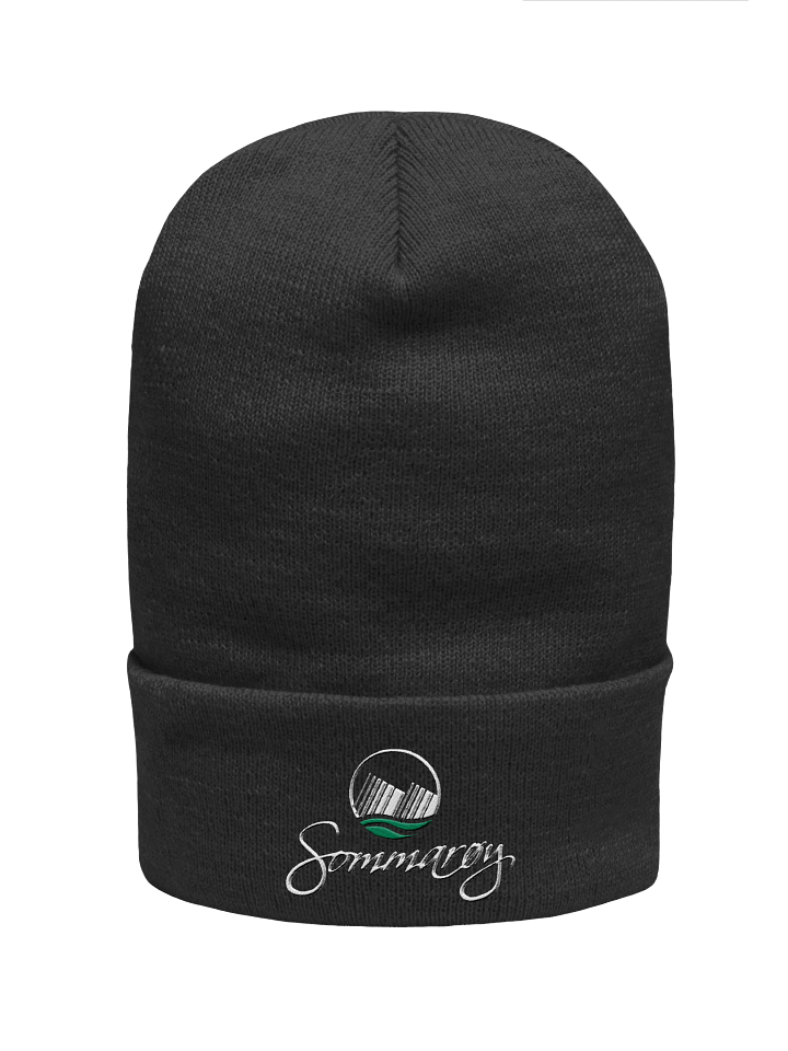 Wave Logo Embroidered Beanie product image (1)