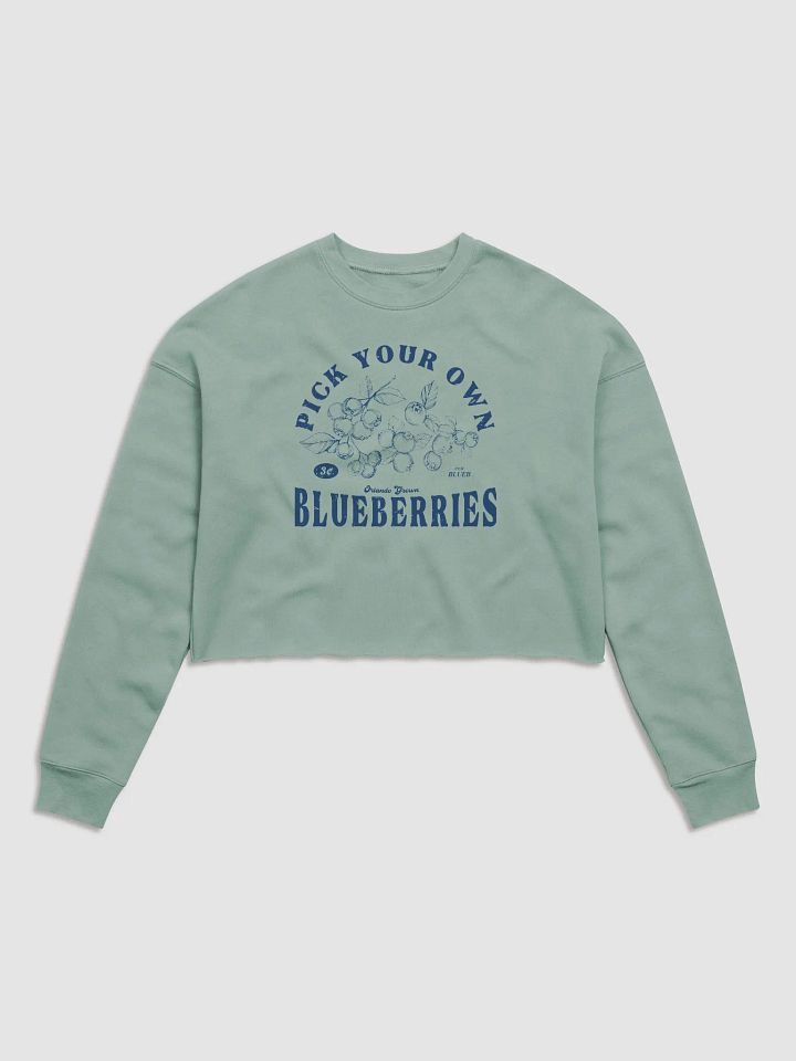 PYOB (Blue) Cropped Hoodie product image (1)