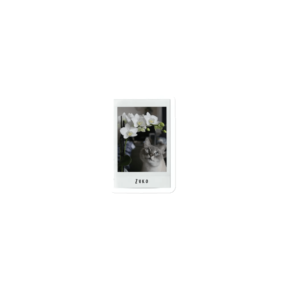 Zuko Polaroid Magnet product image (1)