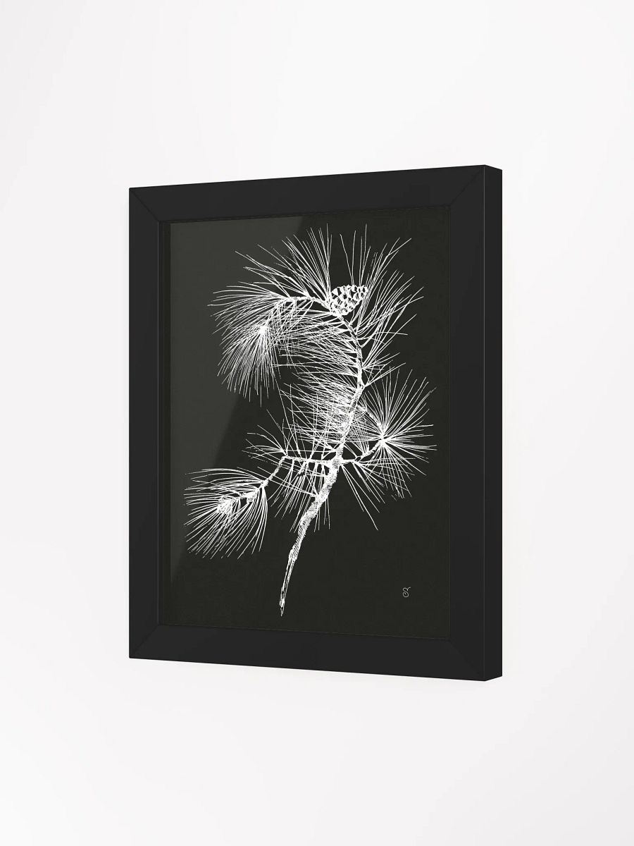 Botanical Elegance: Pine Branch Poster - Pine Branch Dark product image (38)