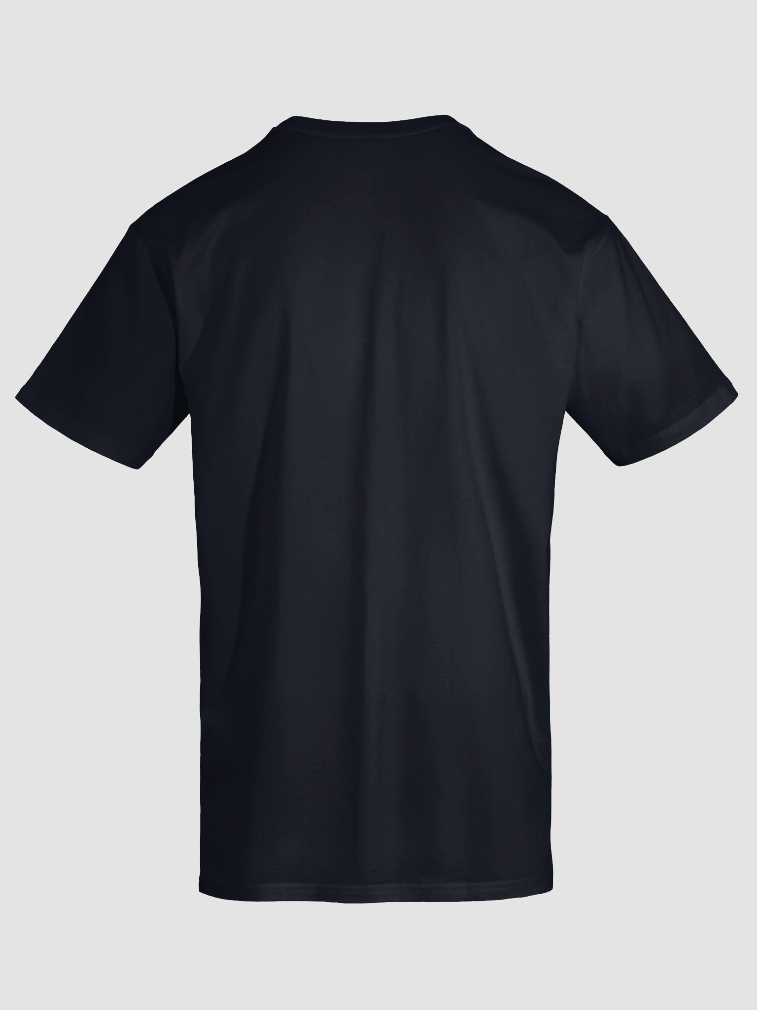 Minnesota Airstream National Logo T-Shirt product image (3)