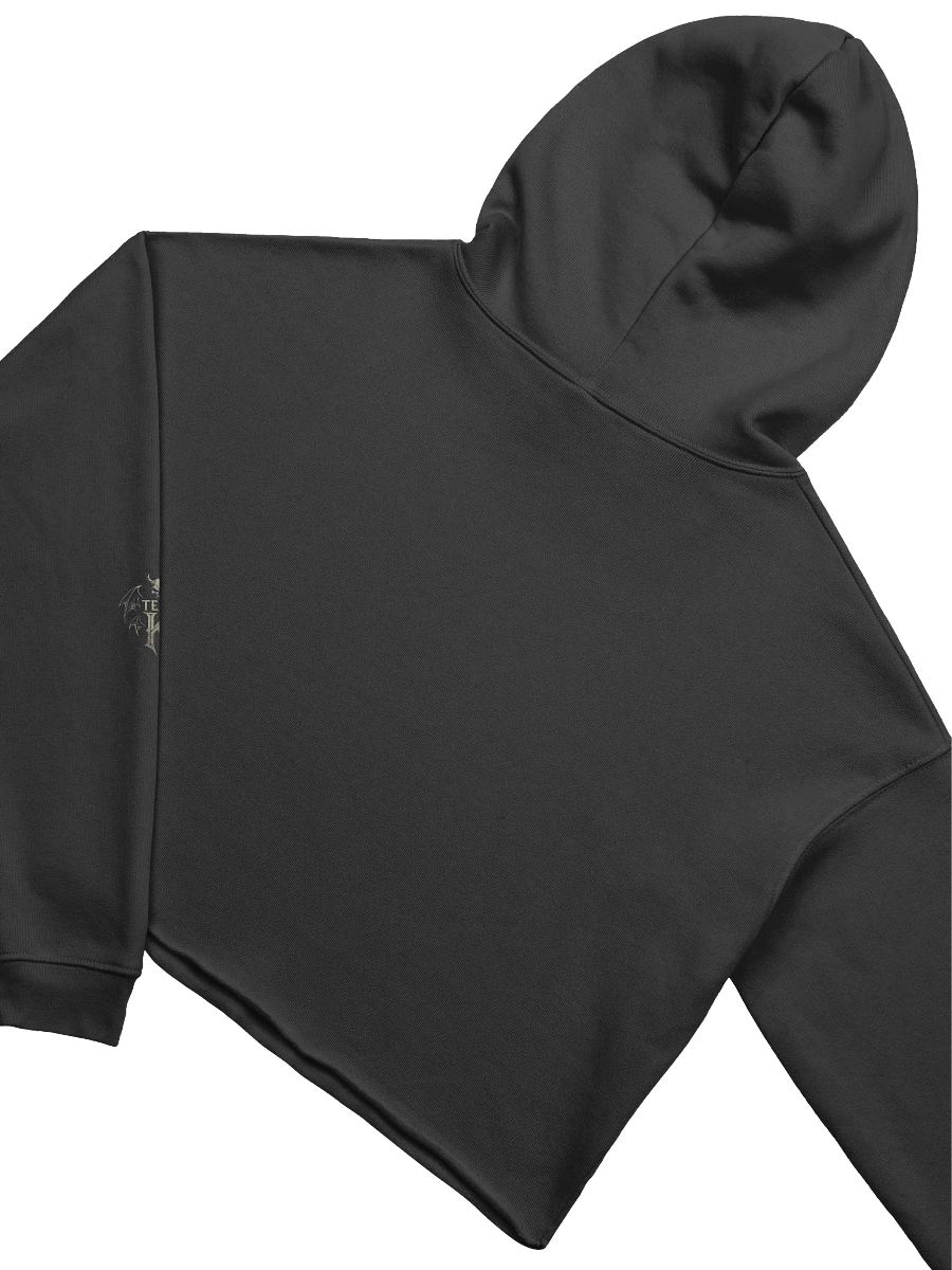 Team K V-3 Crop Hoodie product image (4)
