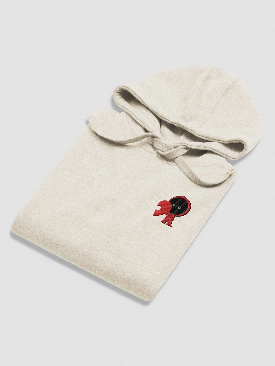 Tim the RedBot- Matching Embroidery Hoodie product image (8)
