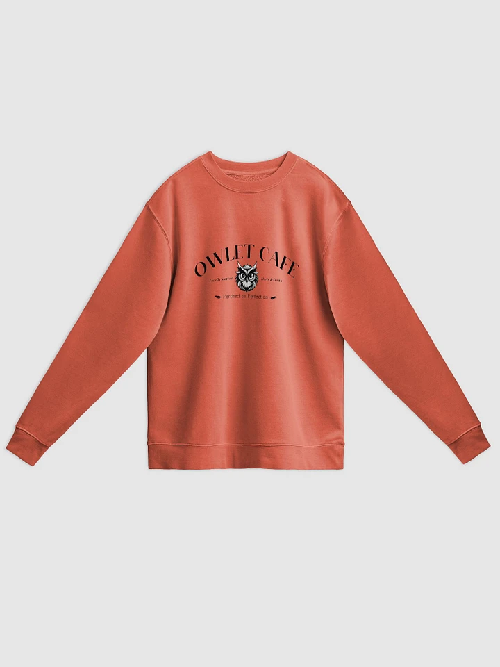 Owlet Cafe - Unisex Pigmented Sweater product image (1)