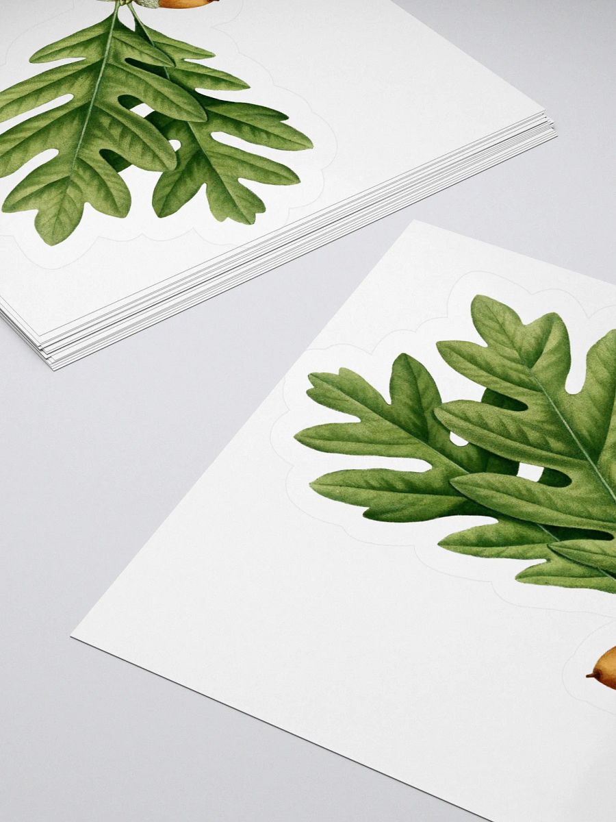 White Oak Sticker product image (4)