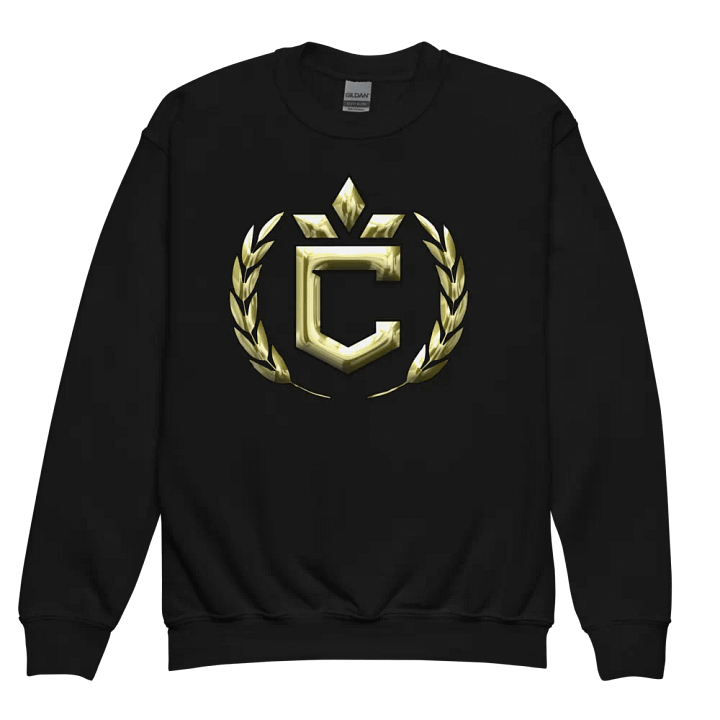 Champion's Crown Youth Sweatshirt product image (2)