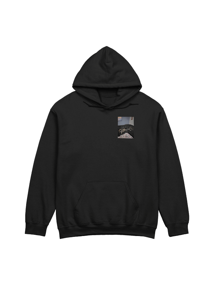 Long Live Sky and Layla Hoodie product image (1)