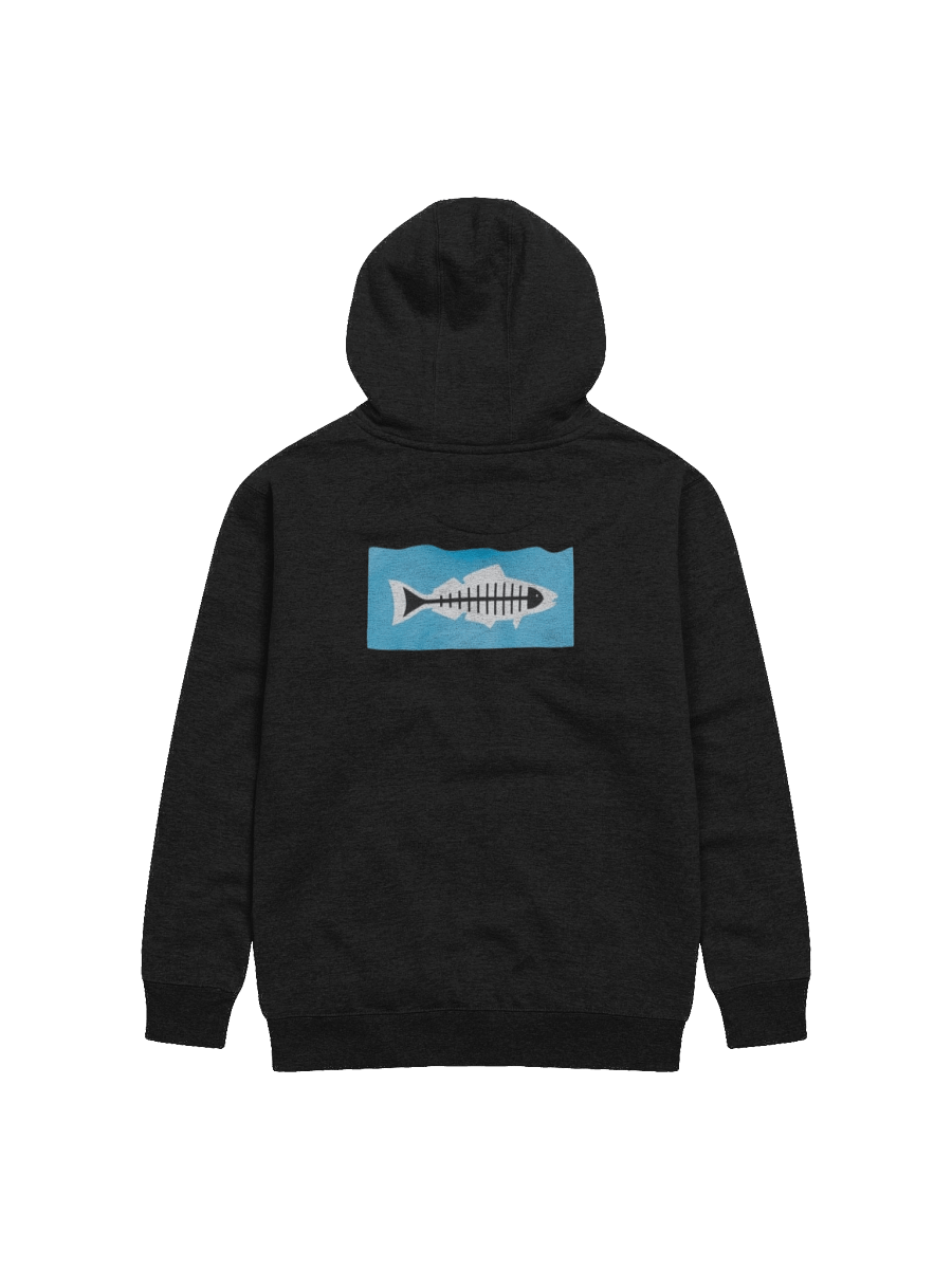 HEAL THE BAY PIGMENT DYED HOODIE product image (1)
