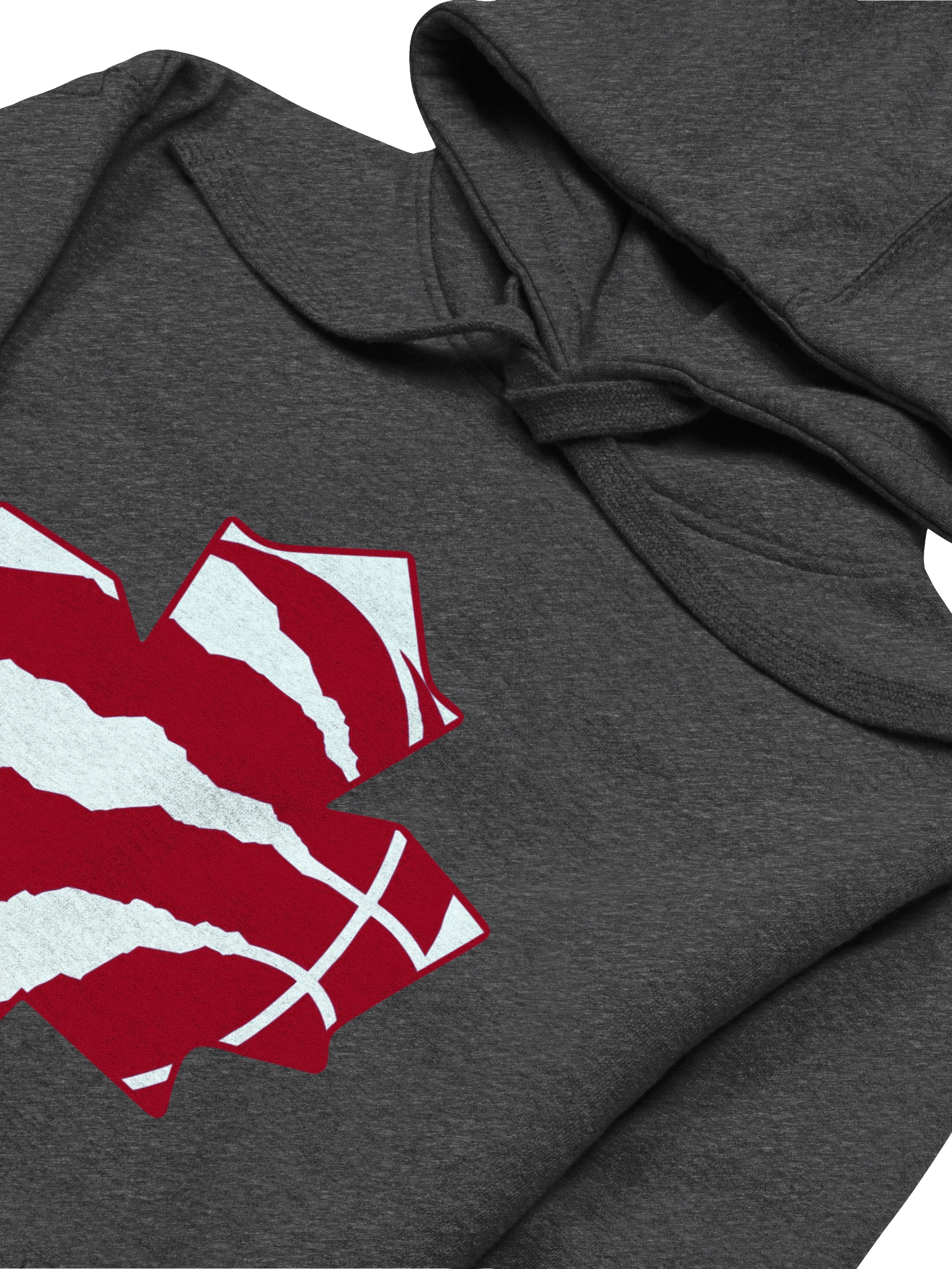 Toronto Dinos Hoodie product image (2)