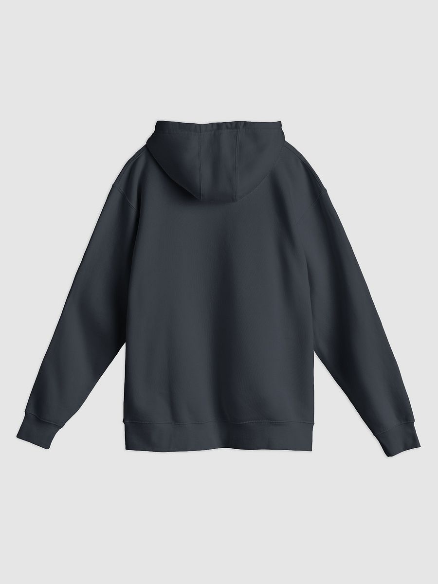 Epicurus Is My Homeboy (Premium Pullover Hoodie) product image (14)