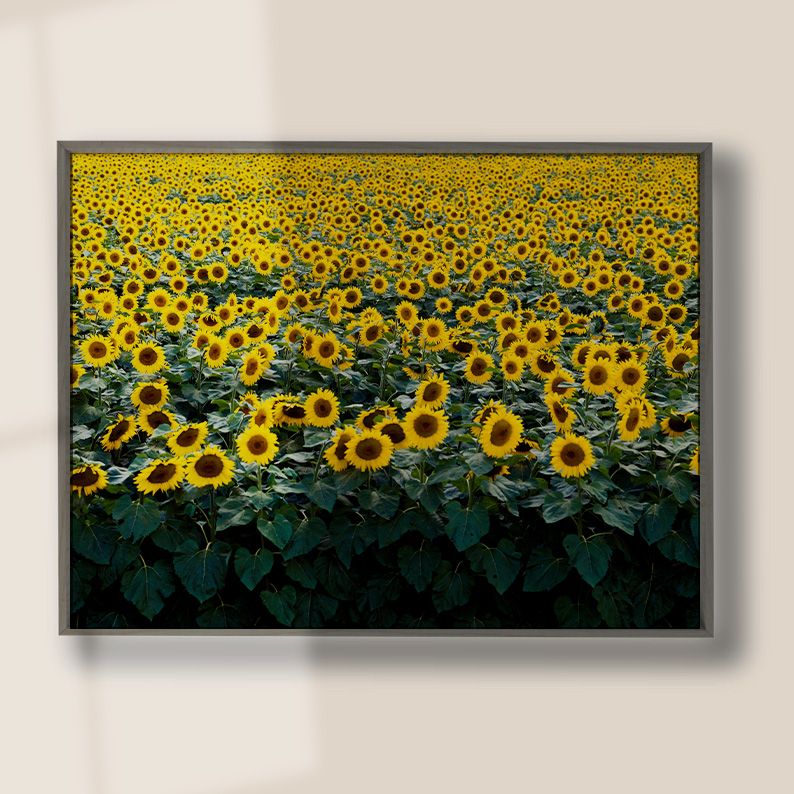 Vintage Gallery Wall Set of 12 Eclectic Art DIGITAL Prints product image (8)