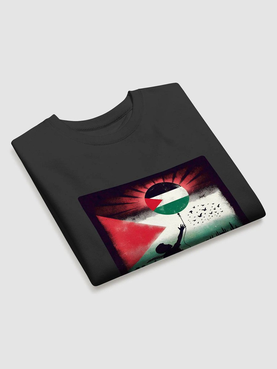 Hopeful Horizon Palestinian Flag Sweatshirt | free palestina product image (30)