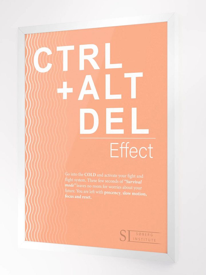 CTRL+ALT+DEL orange product image (2)