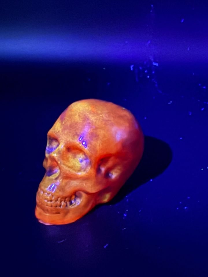 Resin Skull product image (2)