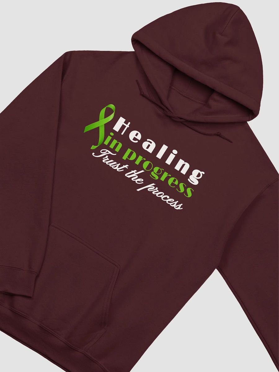 Healing In Progress, Classic Gildan hoodie product image (3)
