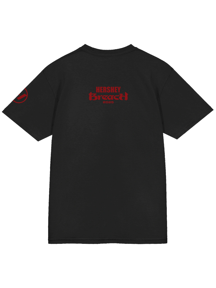 Breach Hersheypark Stadium T-Shirt product image (4)