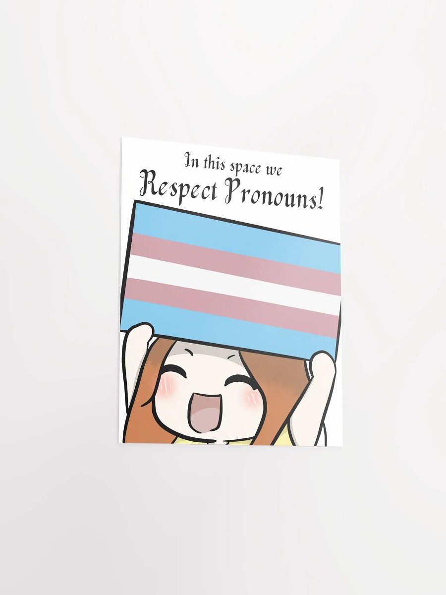 Respect Pronouns Poster - Transgender product image (3)