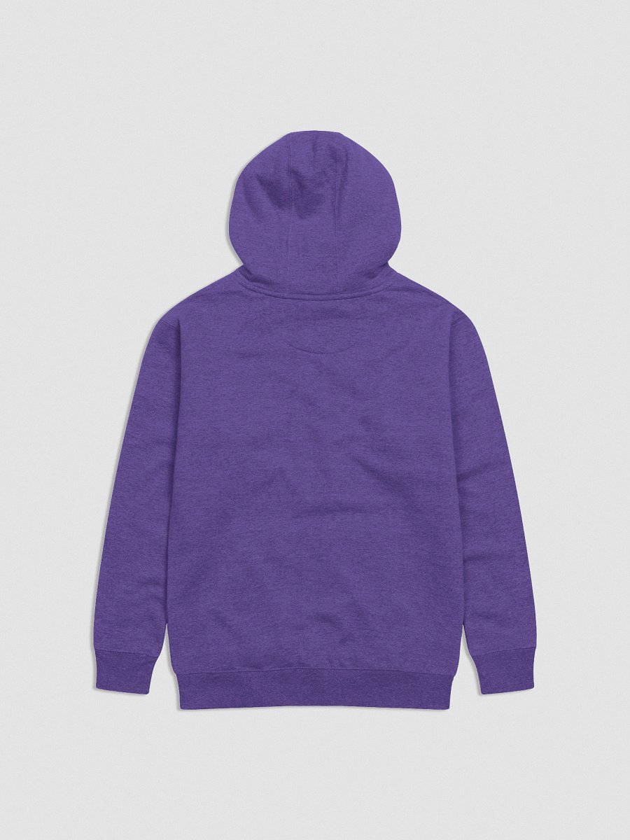 Carried Awaay – 801 Embroidered Hoodie product image (2)