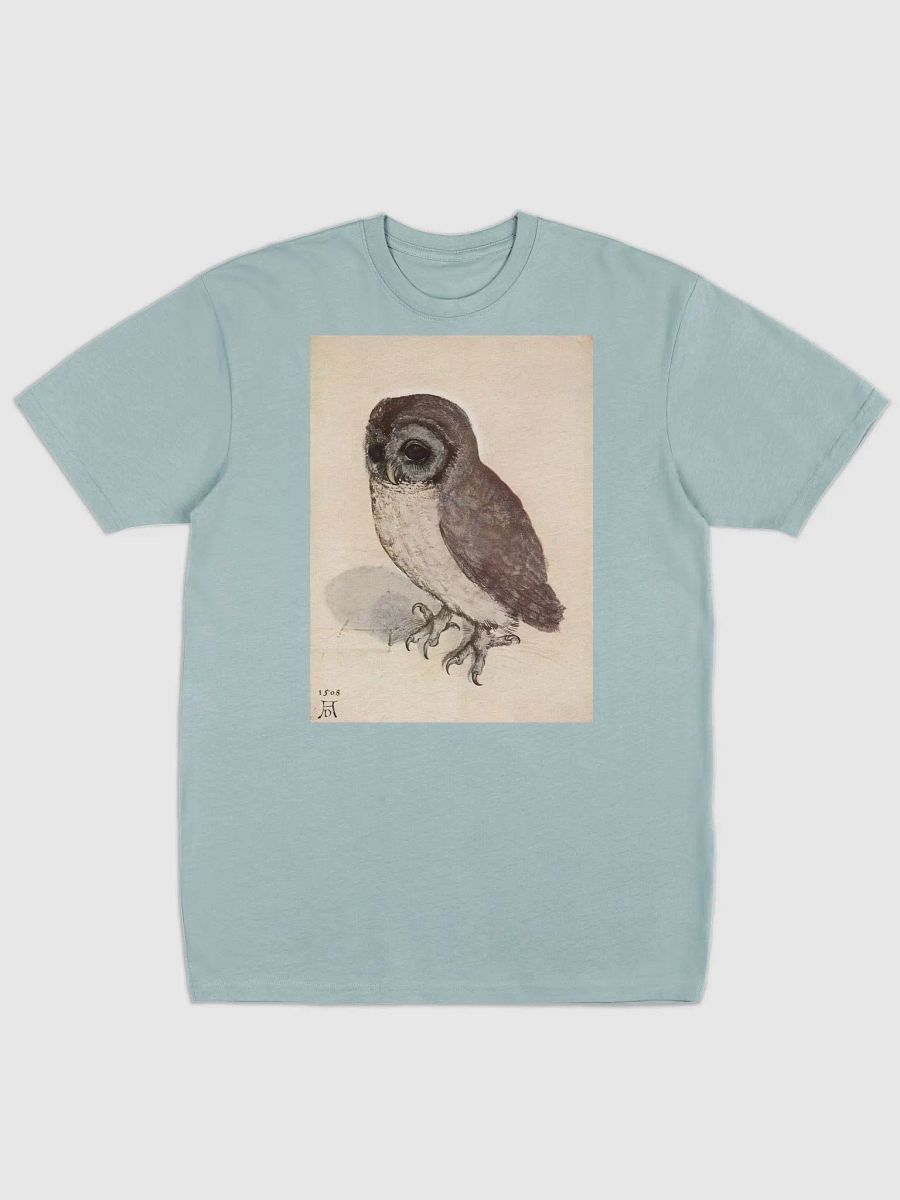 Albrecht Durer The Little Owl Men's Graphic Tee product image (1)