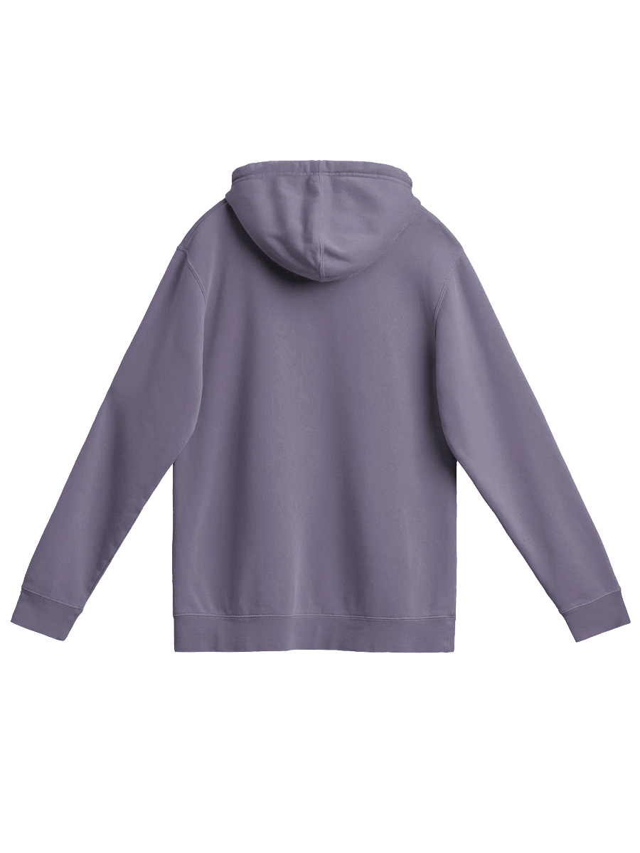 Game Dude COLOR Pigmented Hoodie product image (2)