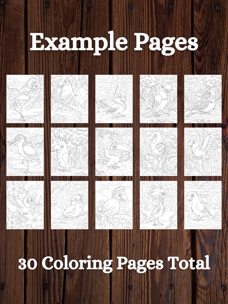 Tropical Birds Printable Coloring Pages product image (2)