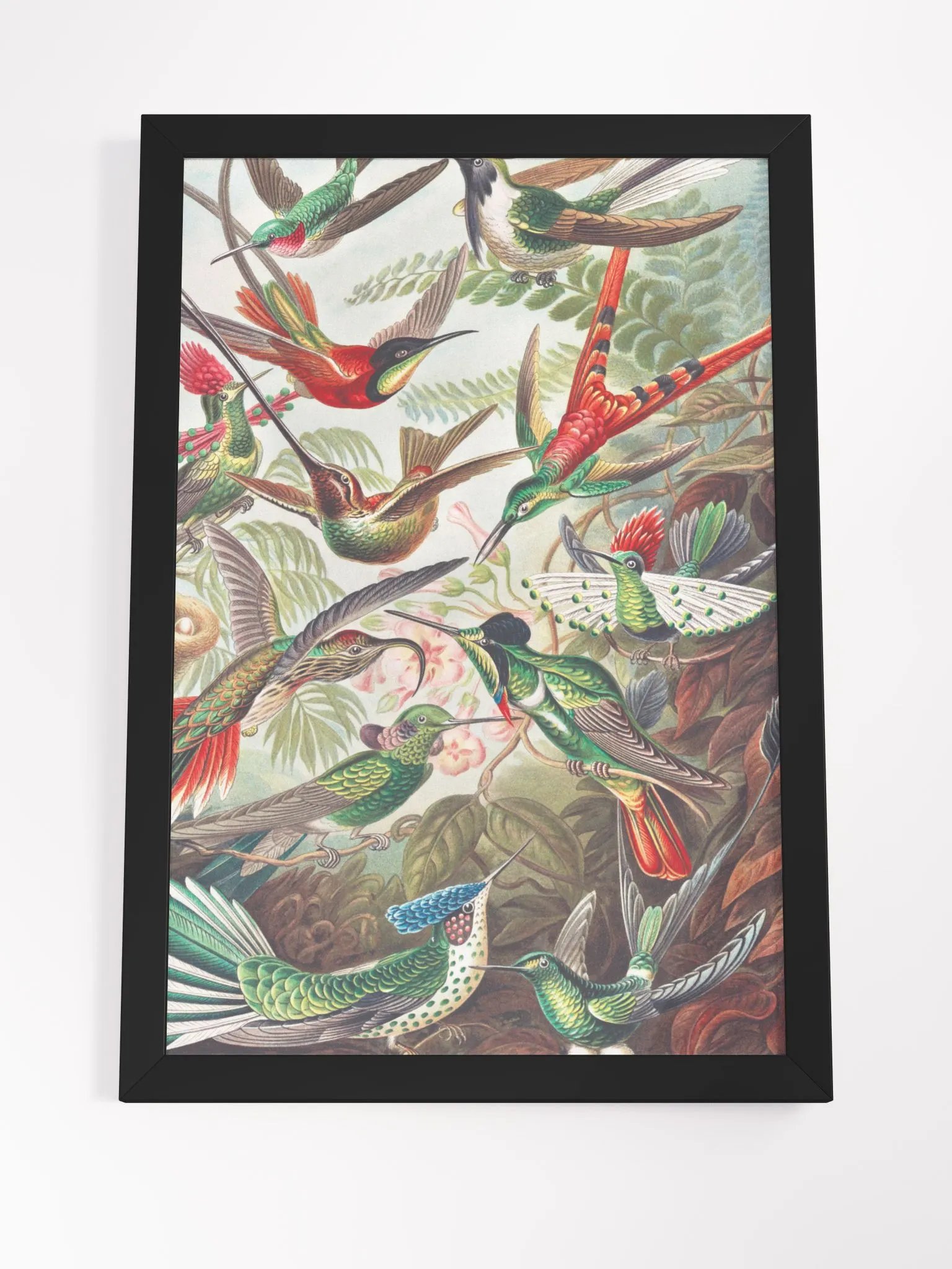 Birds Everywhere product image (12)
