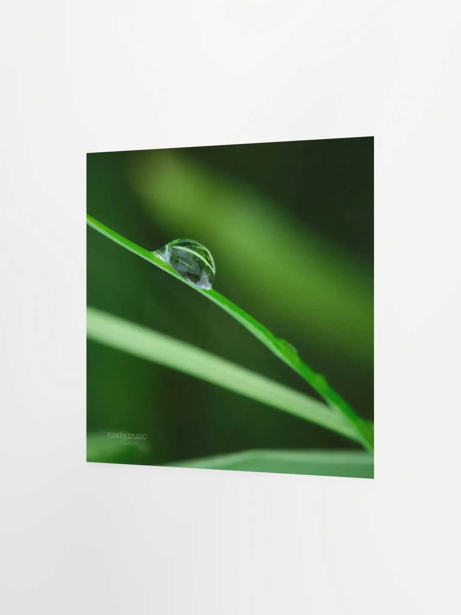 Dew Gems #6 - Print product image (6)