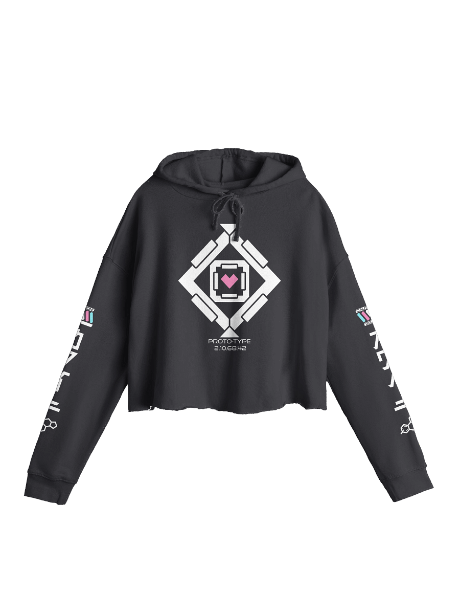 TAF PROTO-TYPE / 2.10.68.42 / CROPPED HOODIE product image (1)