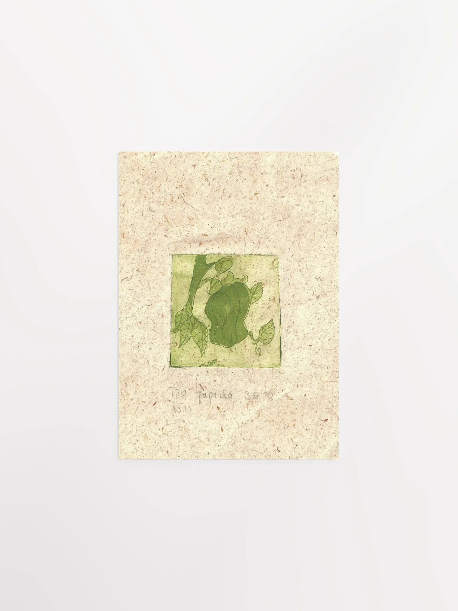 Green Paprika, Botanical Art Print product image (1)