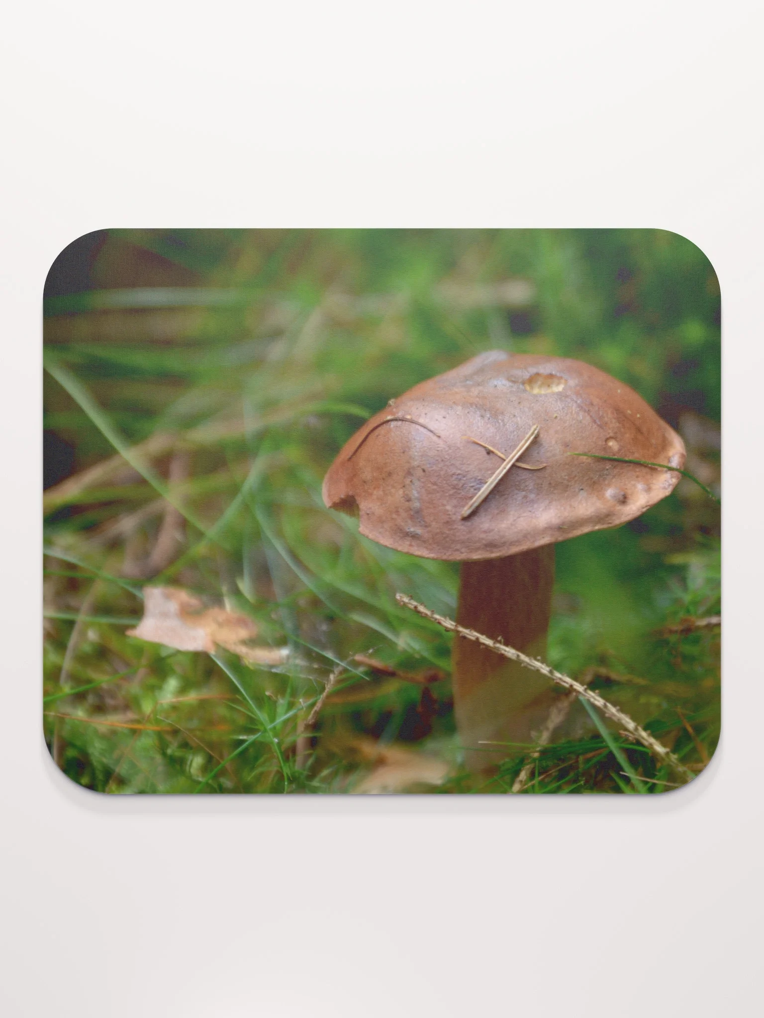 Mauspad - Pilz im Moos product image (2)