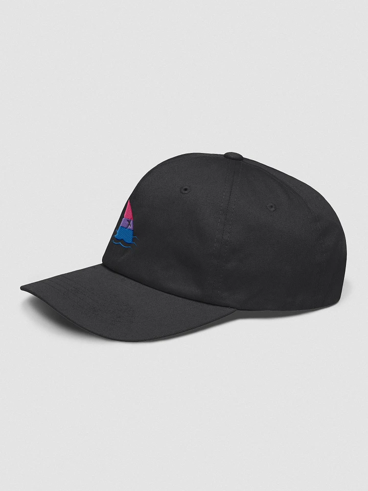 Bi Pride Embroidered Hat product image (2)