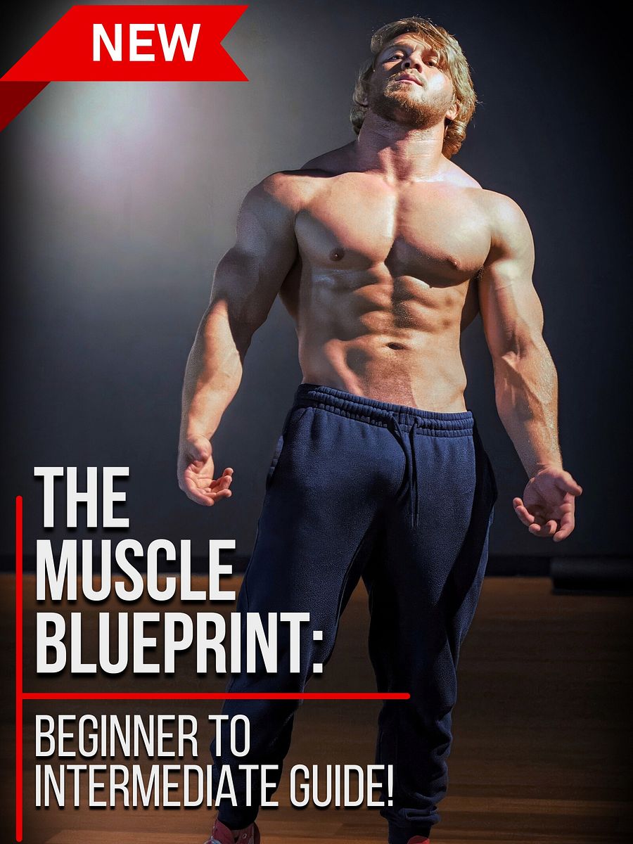 The Muscle Building BluePrint: Beginner To Advance Guide! product image (1)