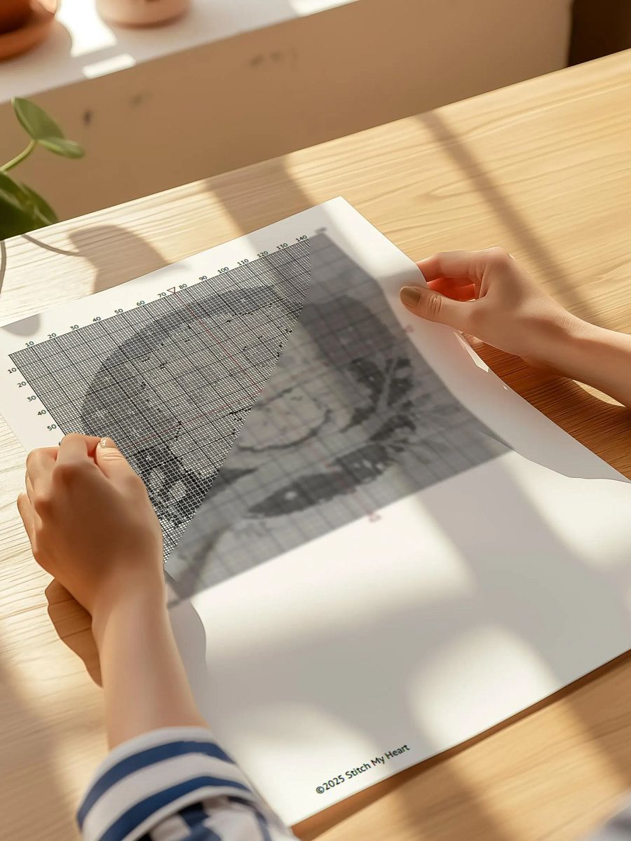 Night Owl product image (8)