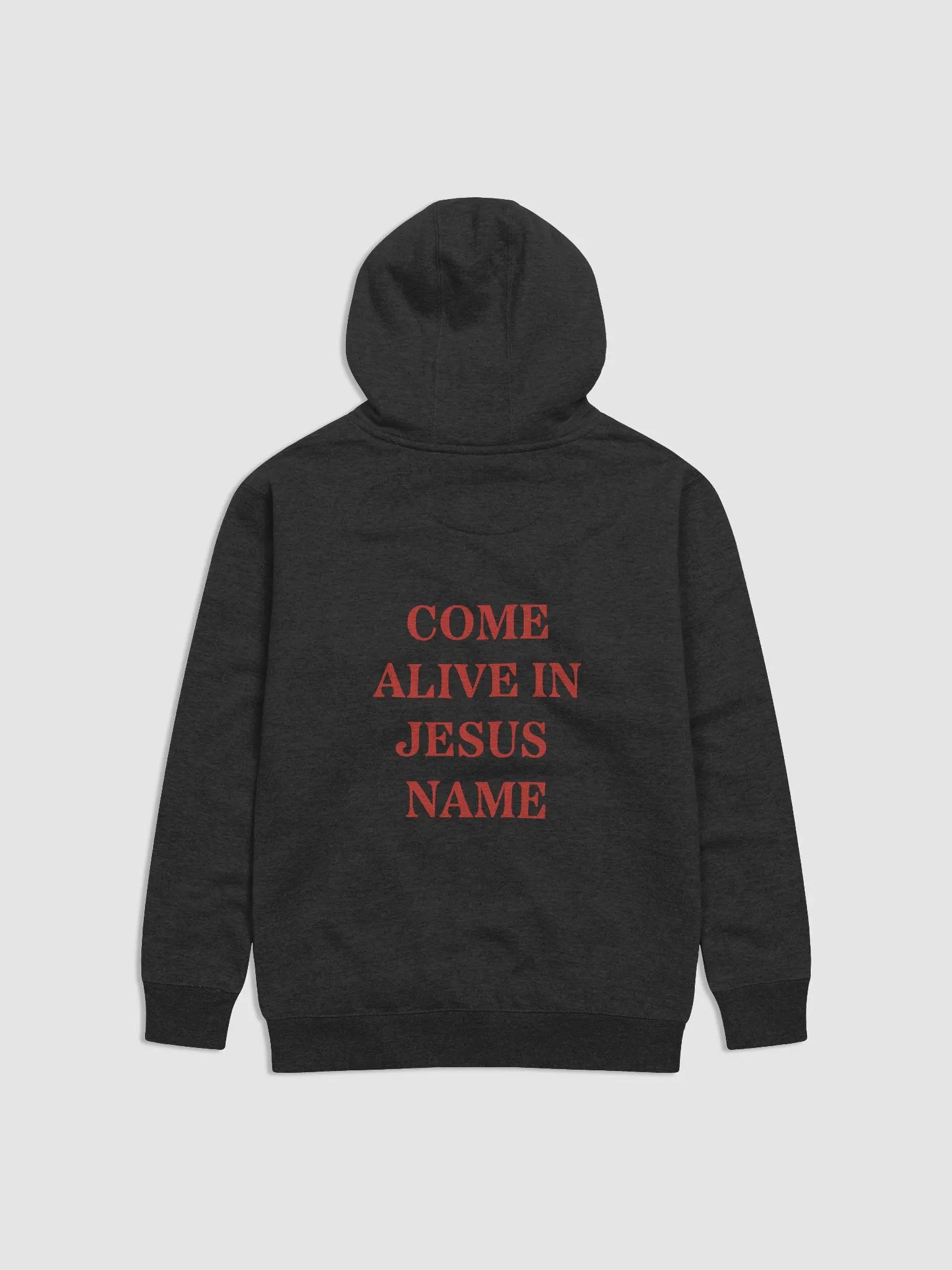 Come Alive In Jesus Name | Hoodie | Red Print product image (9)