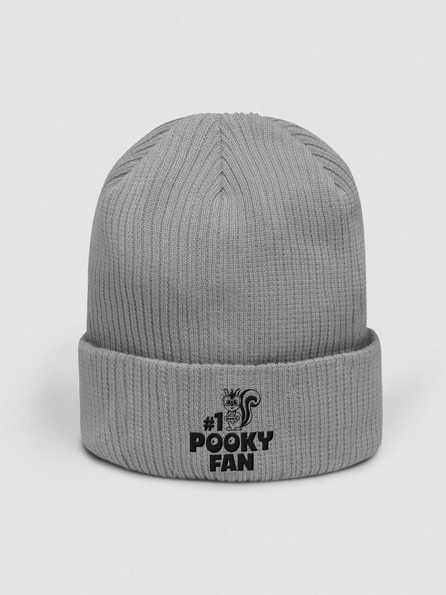 Organic Cotton Embroidered Beanie: Pooky Fan product image (1)