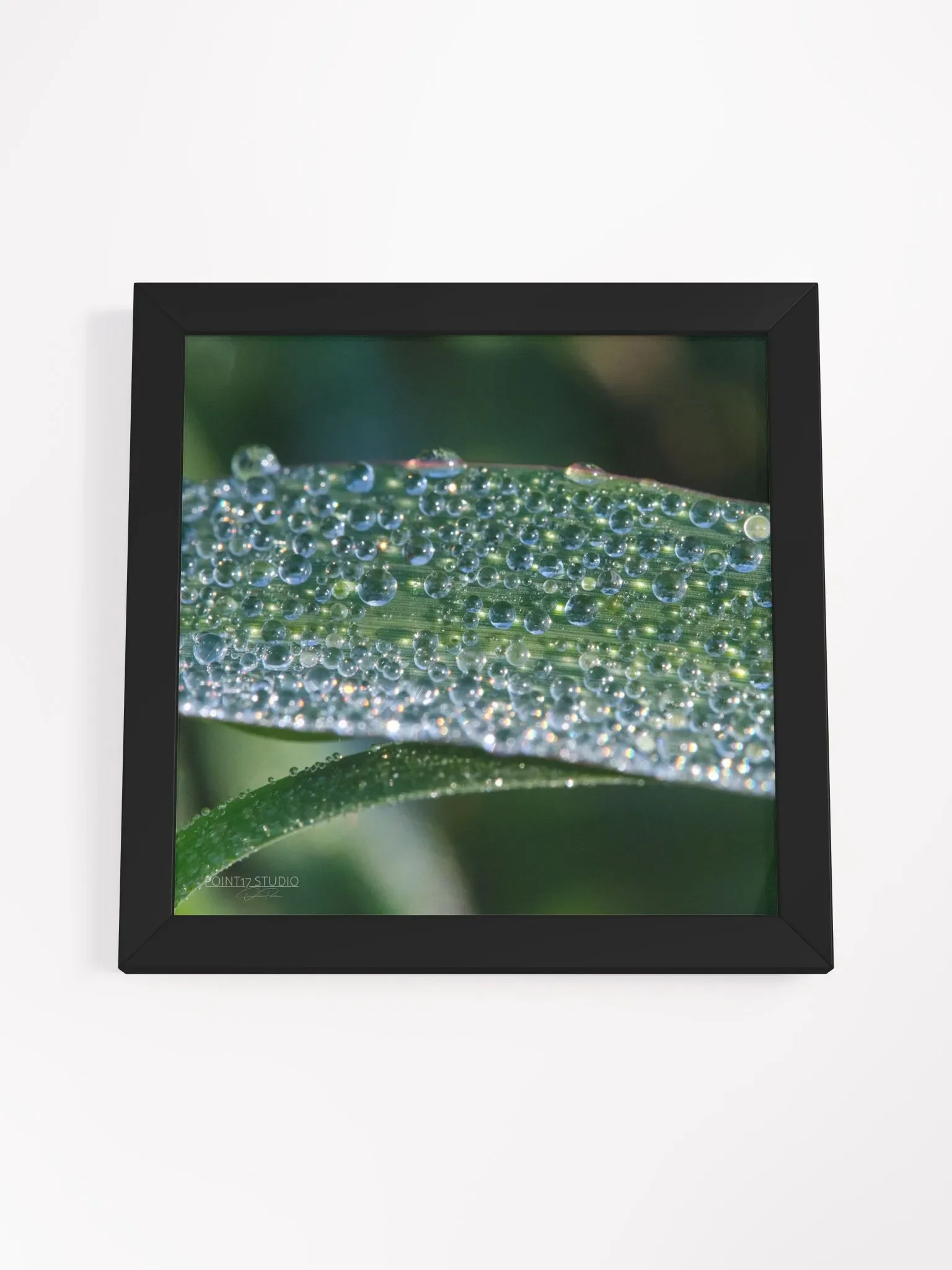 Dew Gems #1 - Framed Print product image (4)