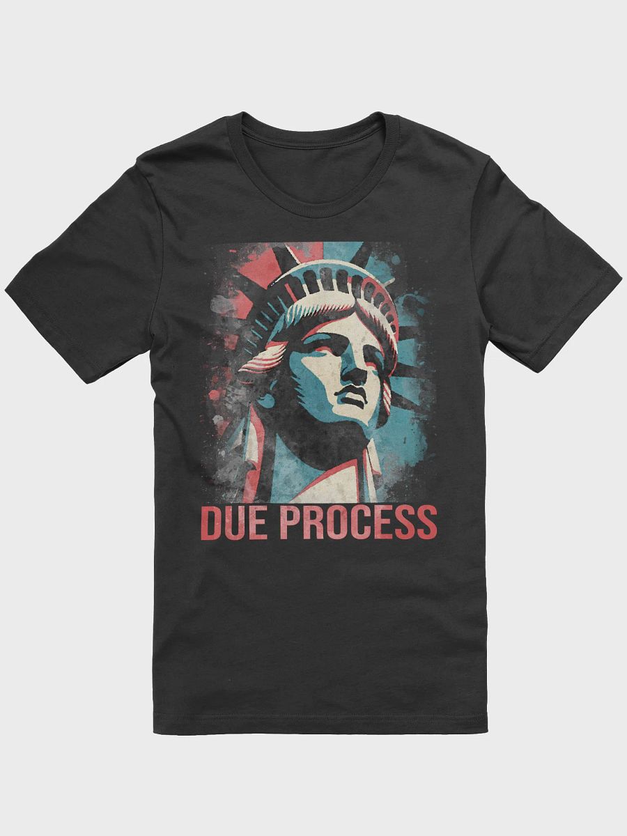 Due Process Liberty T-Shirt - Being Liberal product image (3)