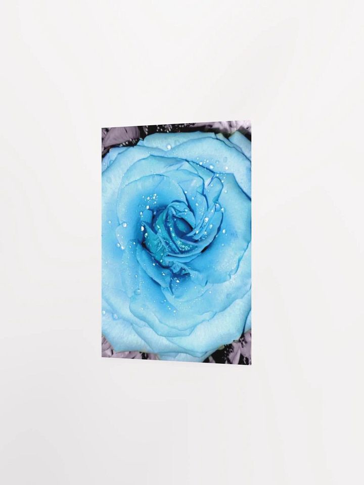 Blue Rose product image (21)