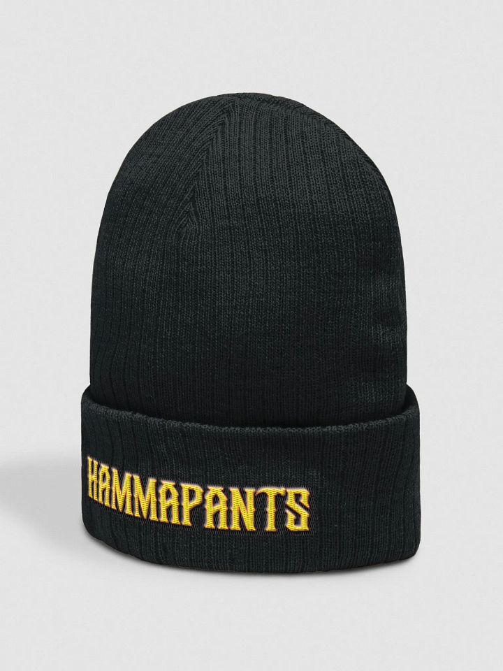 Hammapants Beanie Fitted product image (2)