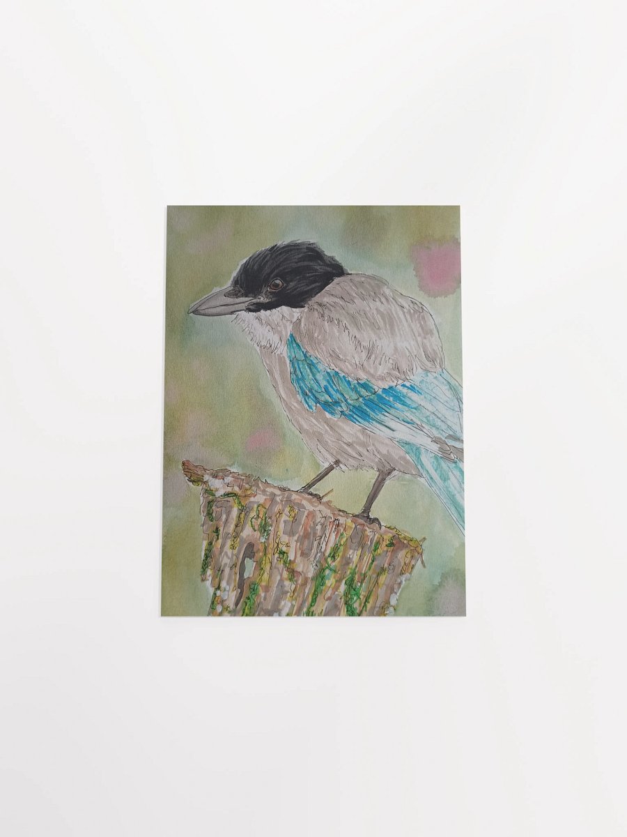 Corvid Series [10] Azure-winged Magpie poster print product image (4)