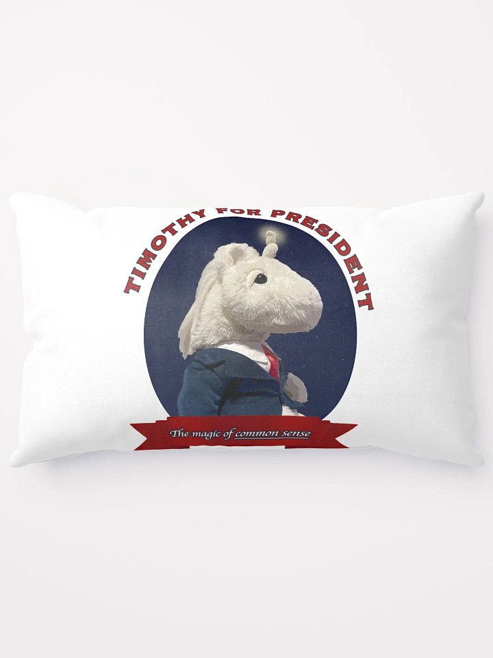 Timothy for President - Pillow product image (1)